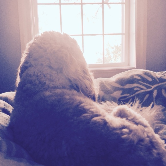 Make reasonable offer - Picture 11 of 15